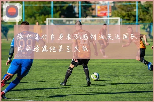 谢尔基对自身表现感到沮丧法国队内部透露他甚至失眠