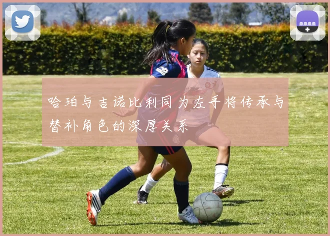 哈珀与吉诺比利同为左手将传承与替补角色的深厚关系