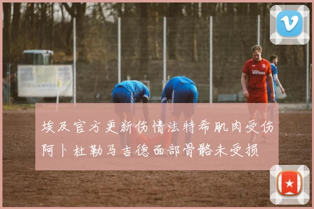 埃及官方更新伤情法特希肌肉受伤阿卜杜勒马吉德面部骨骼未受损